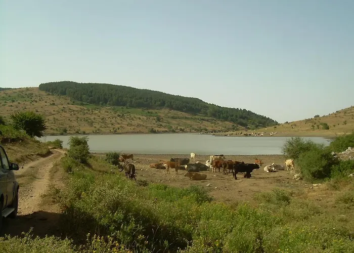 Fontanapietra * Tortorici